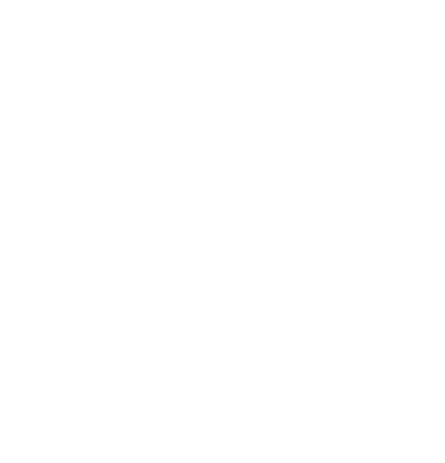 Orion Health and Wellness
